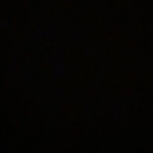 Meet your Posher, Bailey